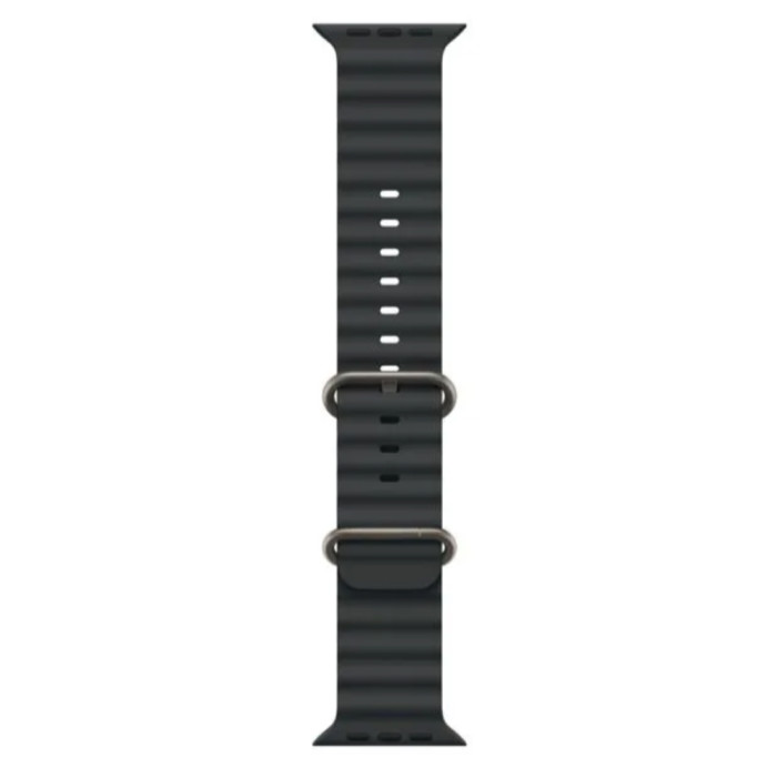 Apple Ocean Band - Natural Titanium Finish